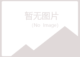 府谷县山柳工程有限公司